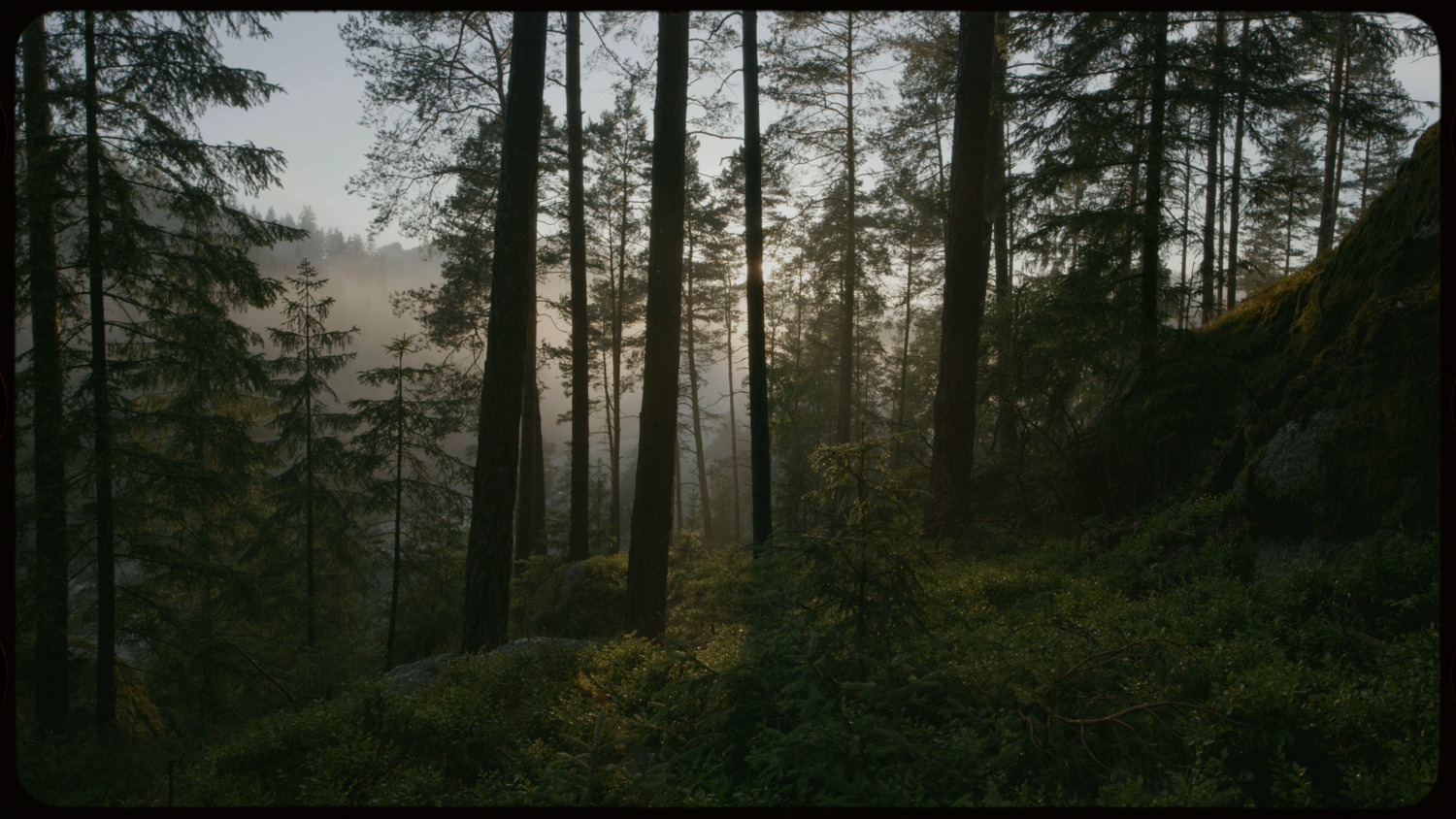 ARCHIVAL LUTS