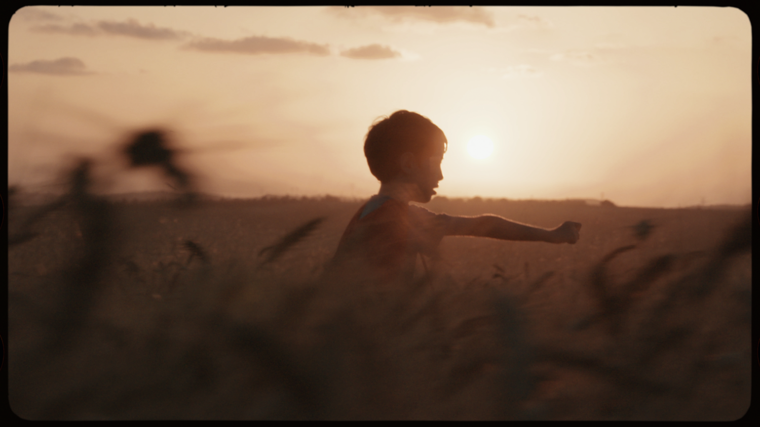 ARCHIVAL LUTS