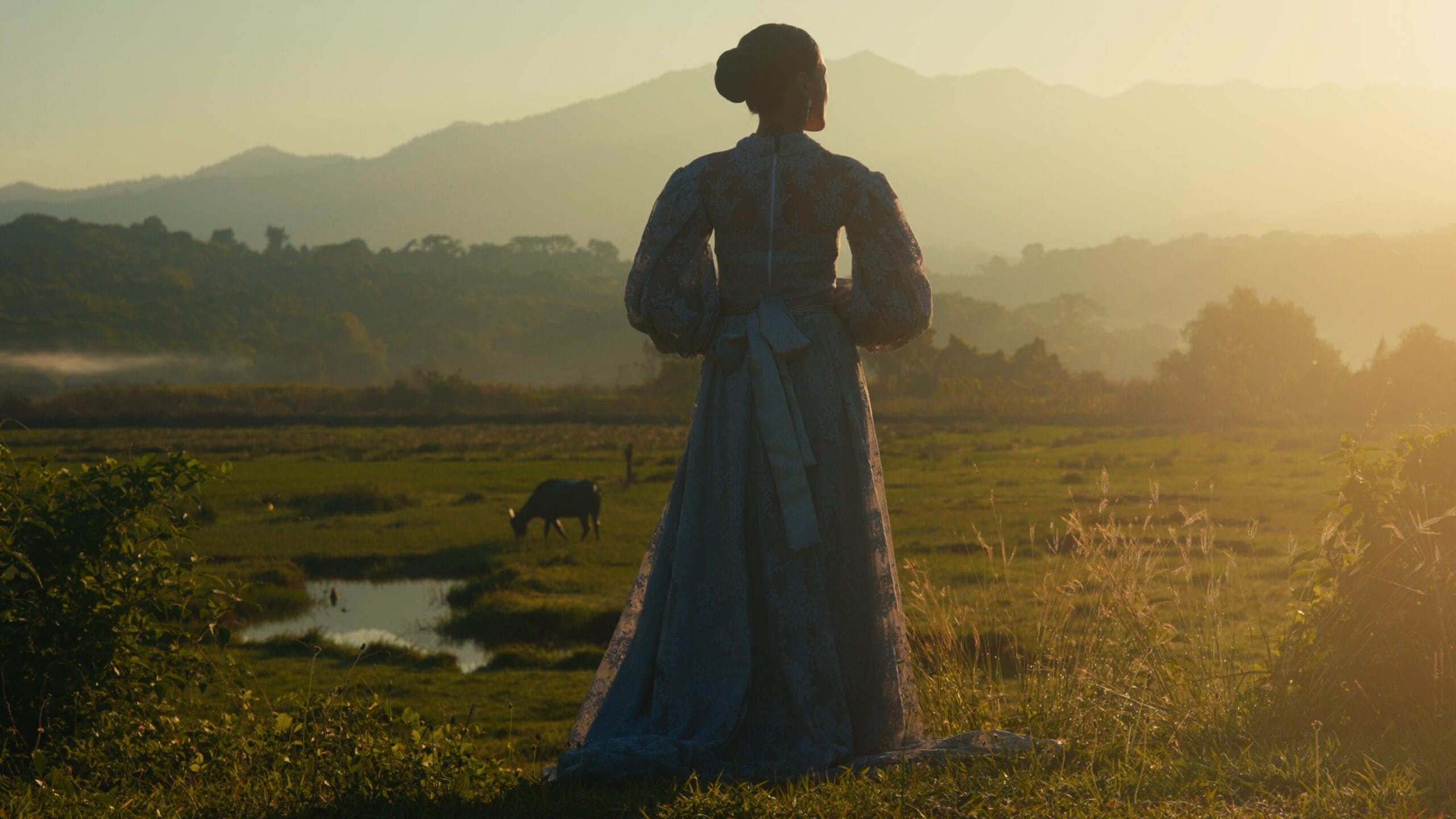 Kodak 2383 Inspired Cinematic LUTs after
