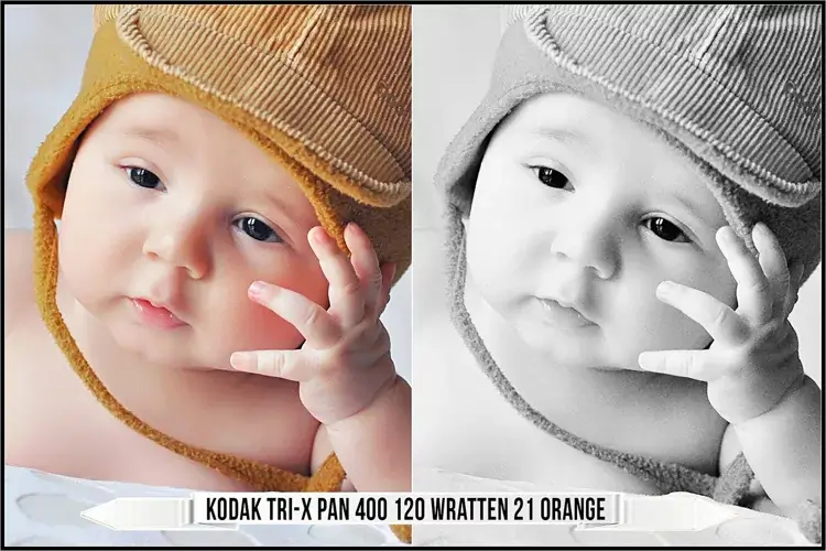 Eastman Kodak Black and White Films LUTs