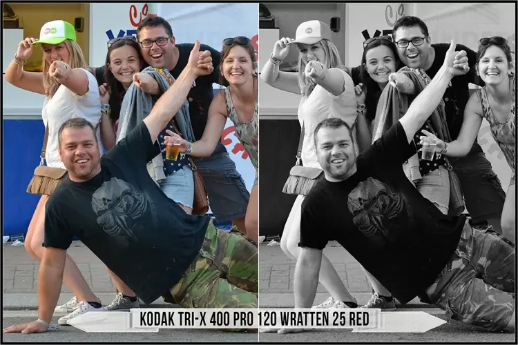 Eastman Kodak Black and White Films LUTs