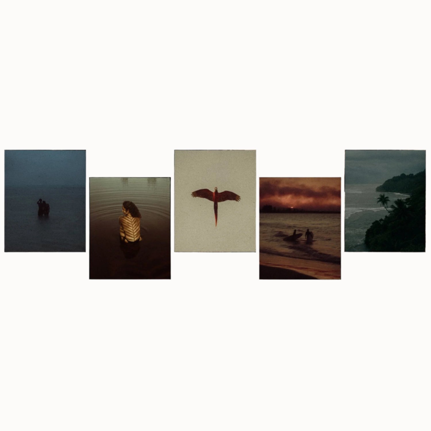 Envijon Vintage Video Elements