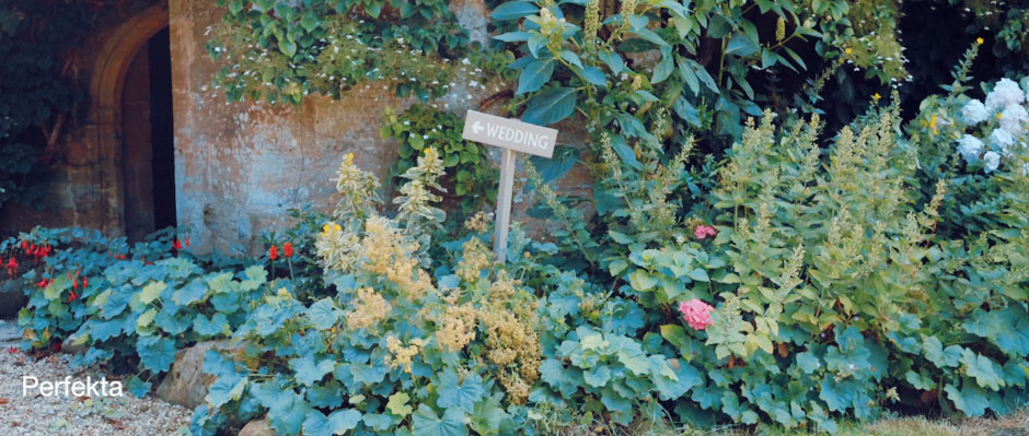 image14